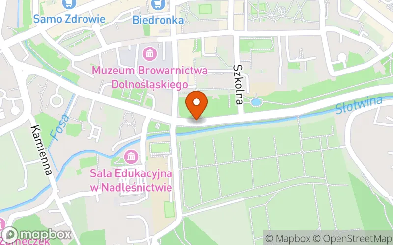 Lokalizacja: Klub Dziecięcy nr 1