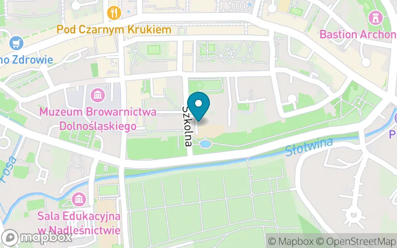 Lokalizacja: Szkoła Podstawowa "Master's Academy" w Lwówku Śląskim