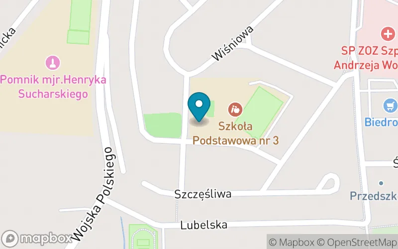 Lokalizacja: Szkoła Podstawowa nr 3 im. Henryka Brodatego w Złotoryi