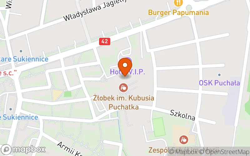 Lokalizacja: Żłobek im. Kubusia Puchatka w Działoszynie