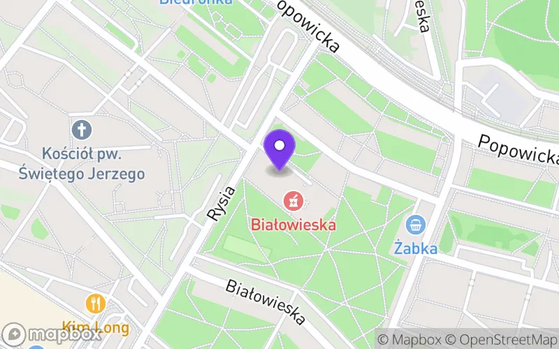 Lokalizacja: Liceum Ogólnokształcące Specjalne nr XXXII