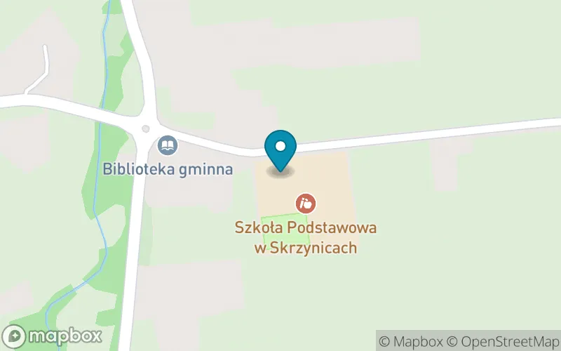 Lokalizacja: Szkoła Podstawowa w Skrzynicach