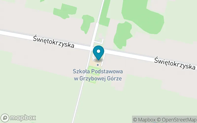 Lokalizacja: Szkoła Podstawowa w Grzybowej Górze