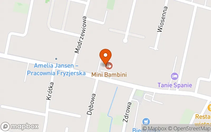 Lokalizacja: Prywatny Żłobek " MINI BAMBINI" Grzegorz Pakuła