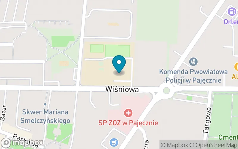 Lokalizacja: Szkoła Podstawowa nr 1 im. Juliana Tuwima w Pajęcznie