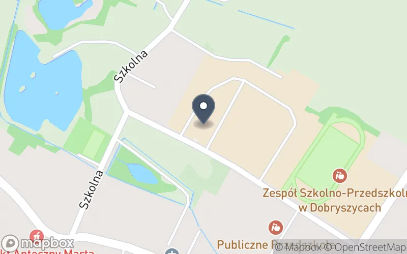 Lokalizacja: Zespół Szkół Centrum Kształcenia Rolniczego im. Władysława Stanisława Reymonta w Dobryszycach