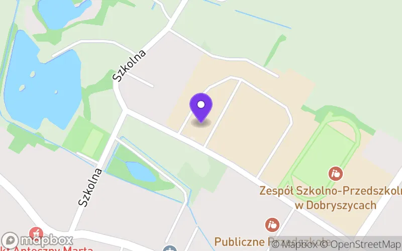 Lokalizacja: Technikum w Dobryszycach