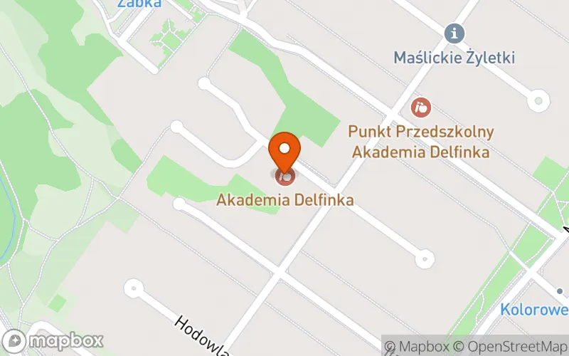 Lokalizacja: Akademia Delfinka 2
