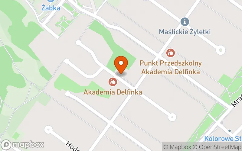 Lokalizacja: Niepubliczny Żłobek Akademia Delfinka 1