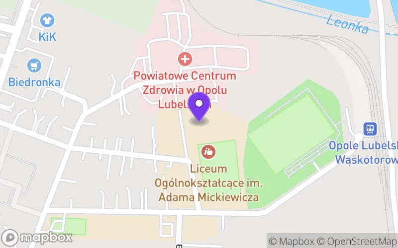 Lokalizacja: Liceum Ogólnokształcące im. Adama Mickiewicza w Opolu Lubelskim