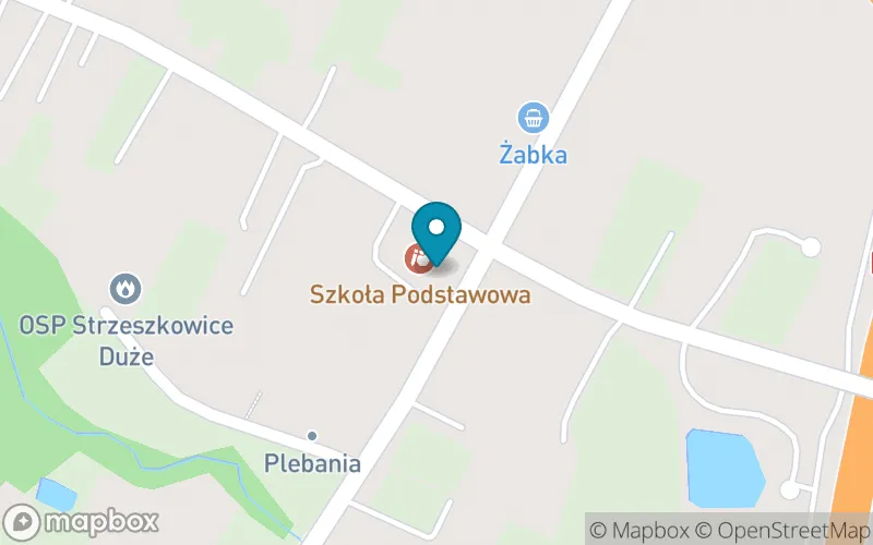 Lokalizacja: Szkoła Podstawowa im. Ks. Jana Twardowskiego w Strzeszkowicach Dużych