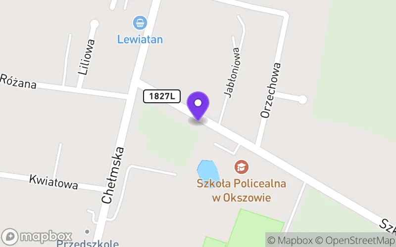 Lokalizacja: Technikum w Okszowie