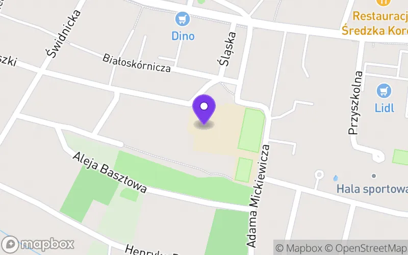 Lokalizacja: Technikum nr 2