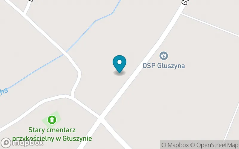 Lokalizacja: Szkoła Podstawowa im. Jana Kochanowskiego w Głuszynie