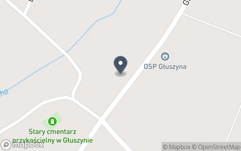 Lokalizacja: Zespół Szkolno-Przedszkolny w Głuszynie