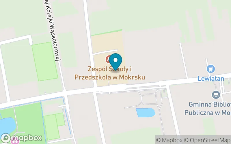 Lokalizacja: Publiczna Szkoła Podstawowa w Mokrsku