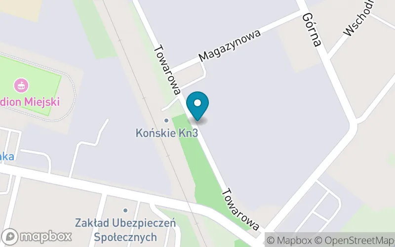 Lokalizacja: Prywatna Szkoła Podstawowa w Końskich