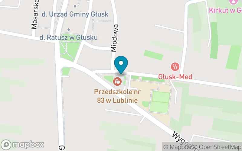Lokalizacja: Szkoła Podstawowa nr 47 im. Józefa Ignacego Kraszewskiego w Lublinie
