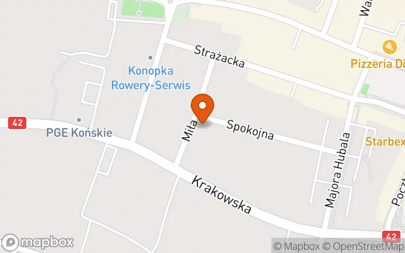 Lokalizacja: Niepubliczny Żłobek "Czarodziejski Młynek"