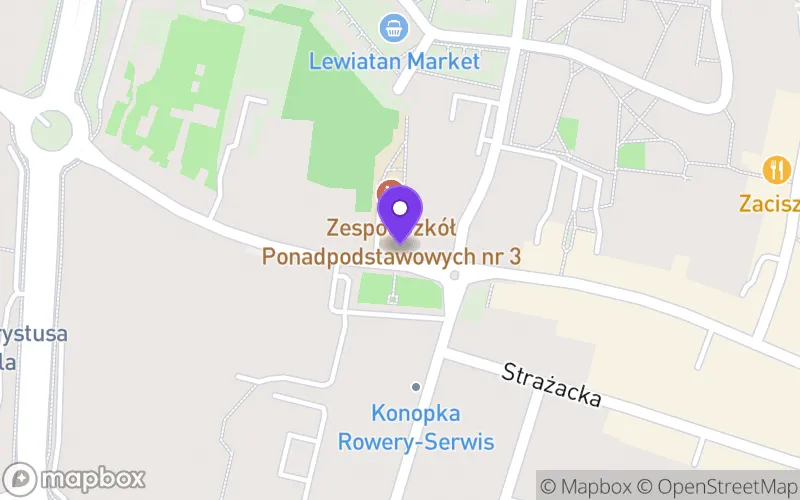 Lokalizacja: Technikum nr 3 im. Władysława Grabskiego w Końskich