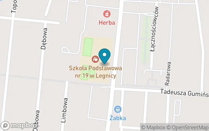 Lokalizacja: Szkoła Podstawowa nr 19 w Legnicy