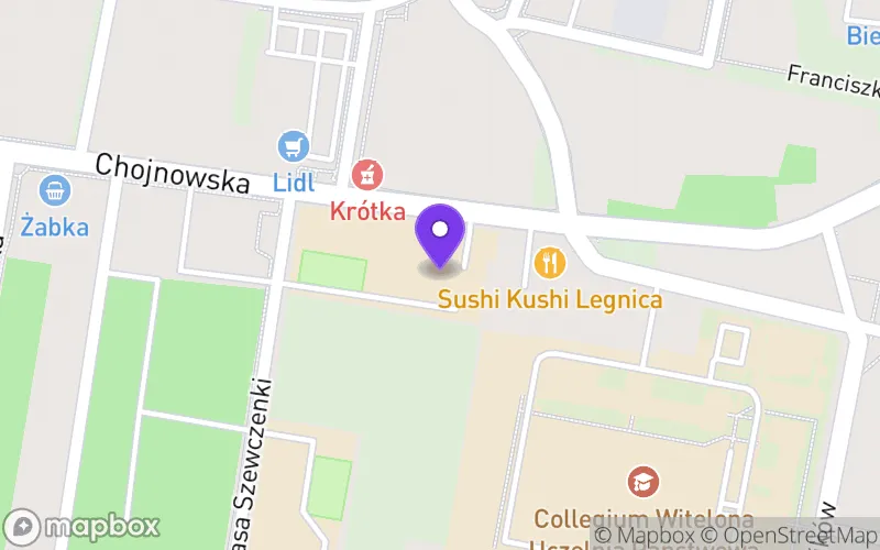 Lokalizacja: Technikum nr 2 w Legnicy