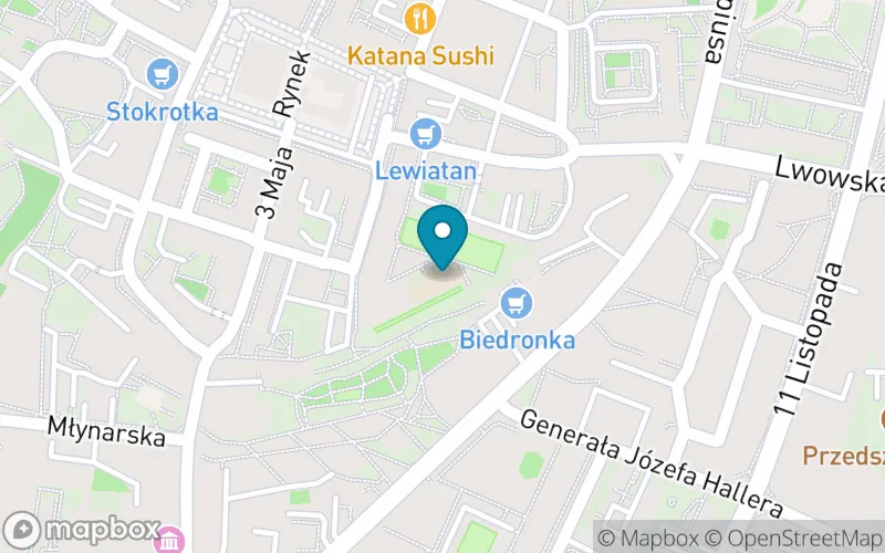 Lokalizacja: Szkoła Podstawowa nr 2 im. Jana Kilińskiego w Oleśnicy