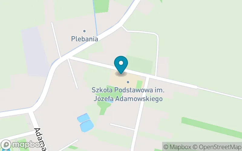 Lokalizacja: Publiczna Szkoła Podstawowa im. Józefa Adamowskiego w Gorzędowie