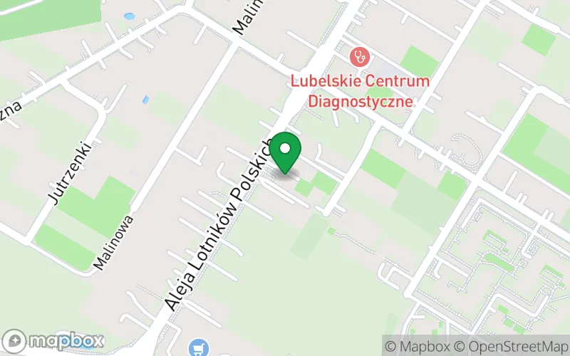 Lokalizacja: Niepubliczne Przedszkole "Kubuś Puchatek i Przyjaciele" w Świdniku