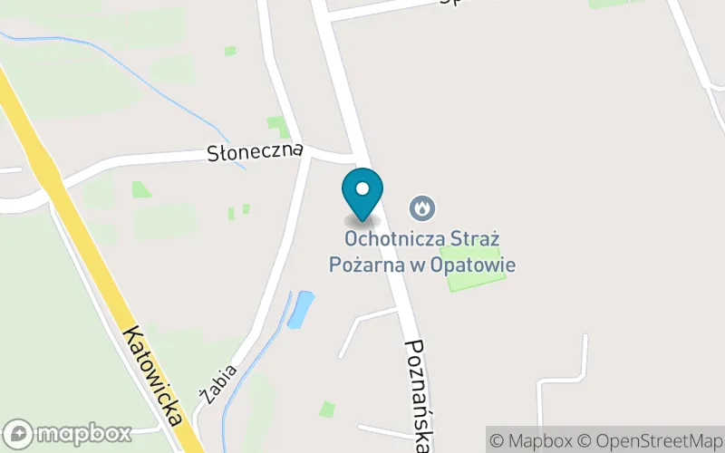 Lokalizacja: Zespół Szkół w Opatowie Szkoła Podstawowa im. Kardynała Stefana Wyszyńskiego w Opatowie