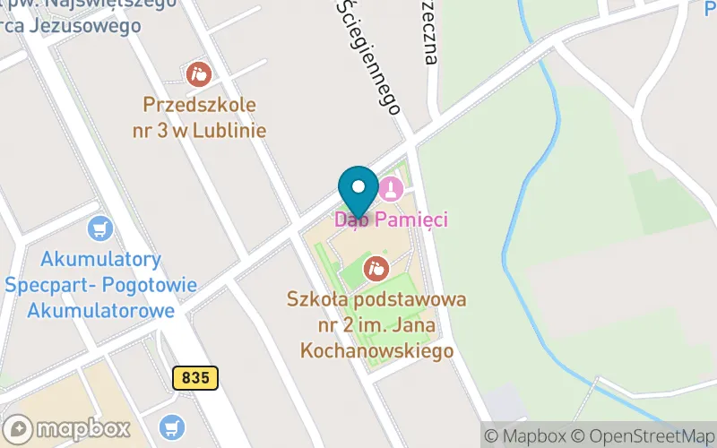 Lokalizacja: Szkoła Podstawowa nr 2 im. Jana Kochanowskiego w Lublinie