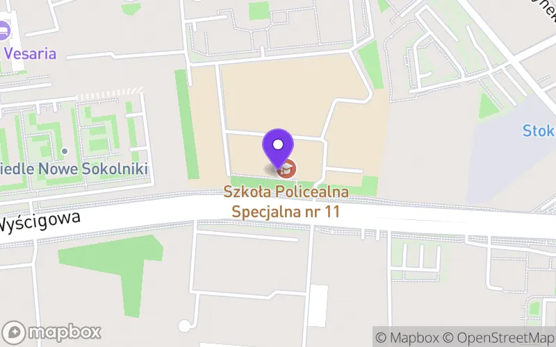 Lokalizacja: XVII Liceum Ogólnokształcące Specjalne dla Uczniów Niewidomych, Słabo Widzących, Niesłyszących, Słabo Słyszących, z Niepełnosprawnością Ruchową, w Tym z Afazją oraz Niepełnosprawnościami Sprzężonymi