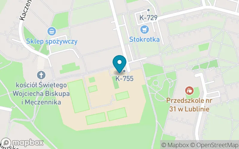 Lokalizacja: Szkoła Podstawowa nr 46 im. Króla Jana III Sobieskiego w Lublinie