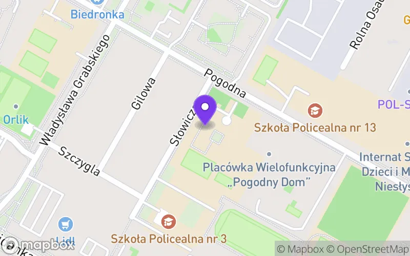 Lokalizacja: VIII Liceum Ogólnokształcące im. Zofii Nałkowskiej w Lublinie
