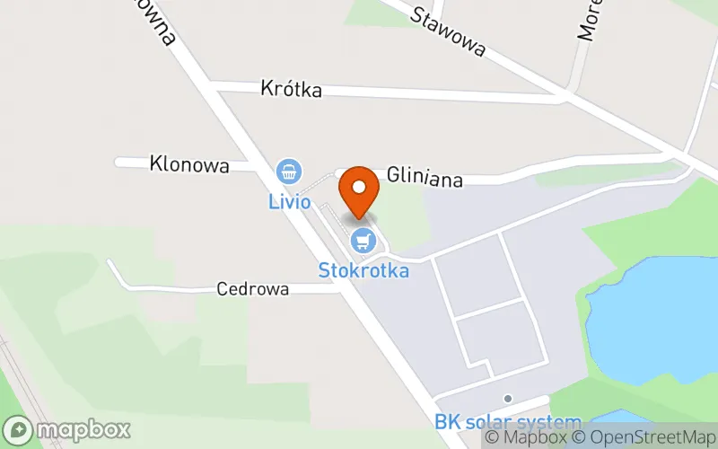 Lokalizacja: Niepubliczny Żłobek KIDS DREAM