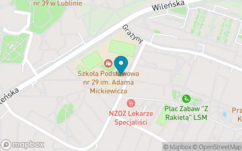 Lokalizacja: Szkoła Podstawowa nr 29 im. Adama Mickiewicza w Lublinie