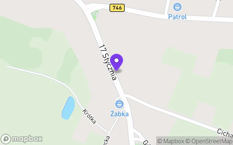 Lokalizacja: Technikum w Żarnowie