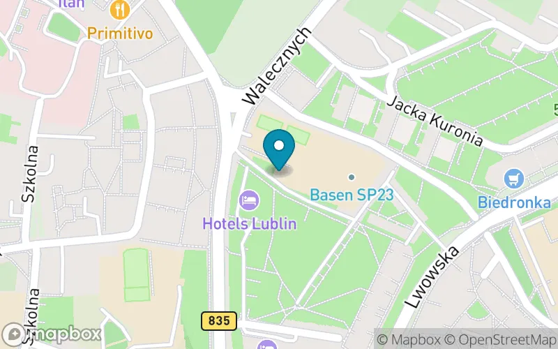 Lokalizacja: Szkoła Podstawowa nr 23 im. Olimpijczyków Polskich w Lublinie