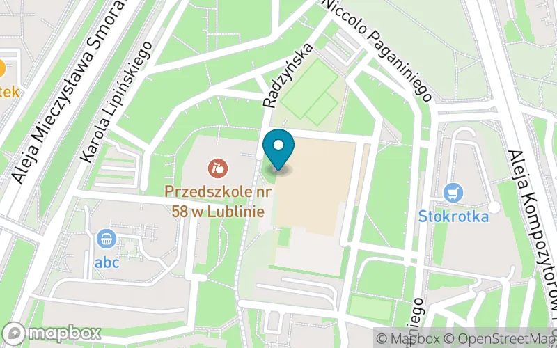 Lokalizacja: Szkoła Podstawowa nr 45 w Lublinie