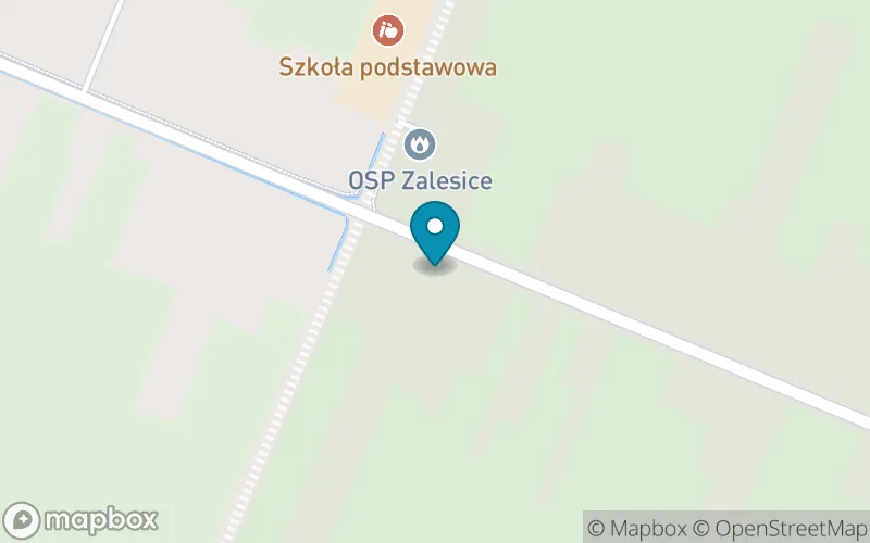 Lokalizacja: Publiczna Szkoła Podstawowa w Zalesicach
