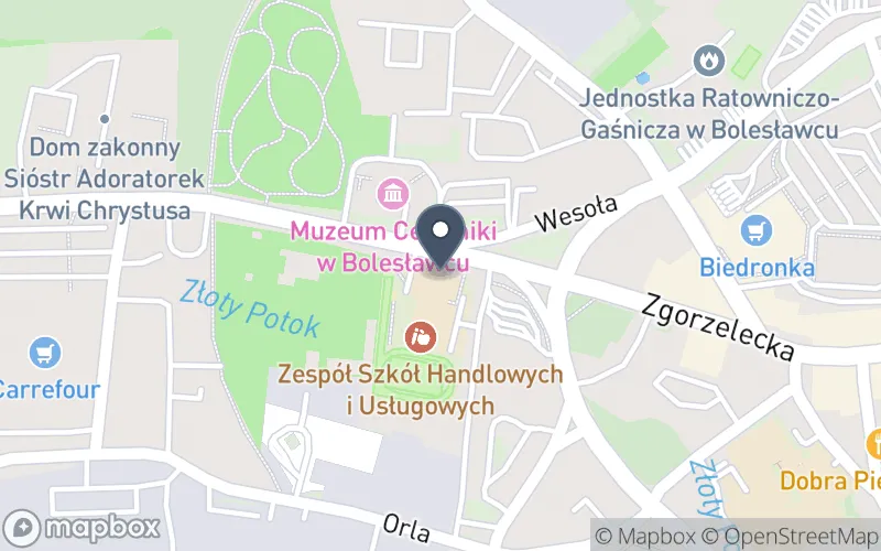 Lokalizacja: Zespół Szkół Technicznych i Przyrodniczych w Bolesławcu