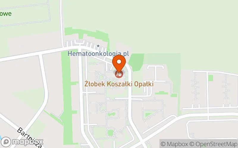 Lokalizacja: Żłobek "Koszałki Opałki"