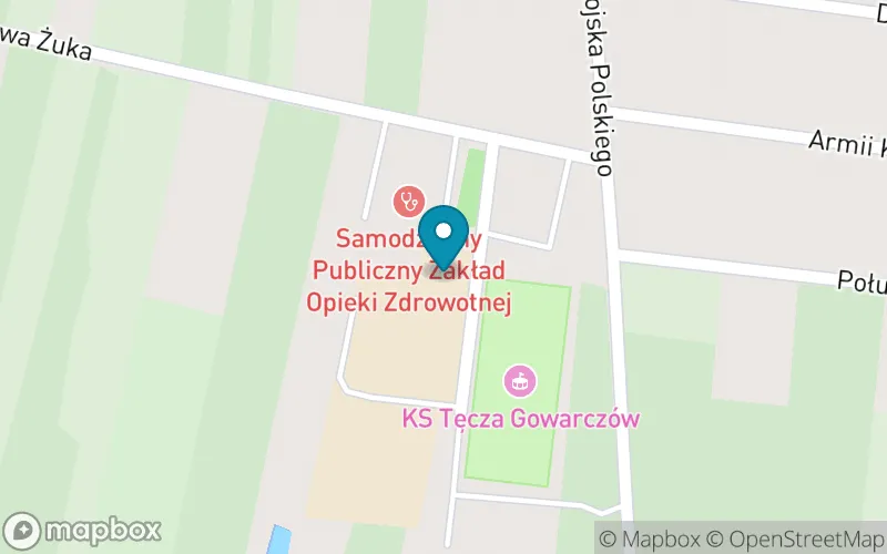 Lokalizacja: Szkoła Podstawowa im. Jana Pawła II w Gowarczowie