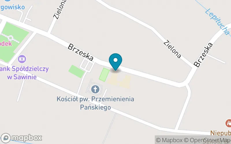 Lokalizacja: Szkoła Podstawowa im. St. Staszica w Sawinie