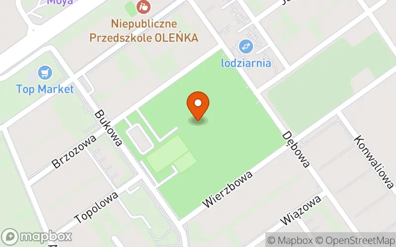 Lokalizacja: Żłobek Gminny Skrzaty