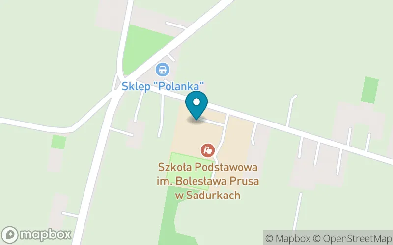 Lokalizacja: Szkoła Podstawowa im. Bolesława Prusa w Sadurkach