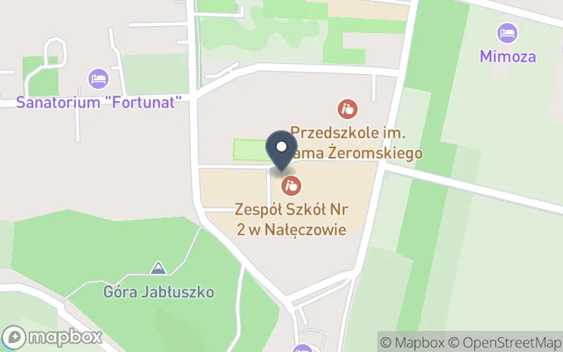 Lokalizacja: Zespół Szkół nr 2 w Nałęczowie