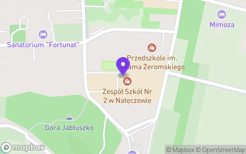 Lokalizacja: Liceum Ogólnokształcące im. Stefana Żeromskiego w Nałęczowie