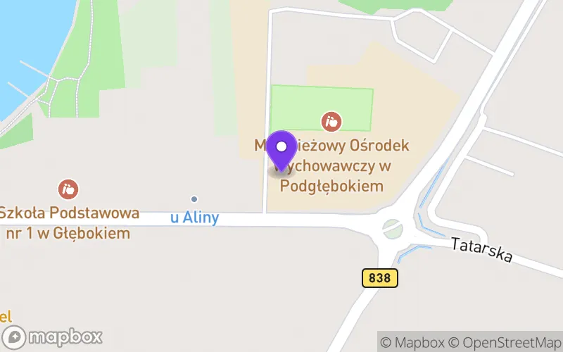 Lokalizacja: Branżowa Szkoła Specjalna I Stopnia w Podgłębokiem