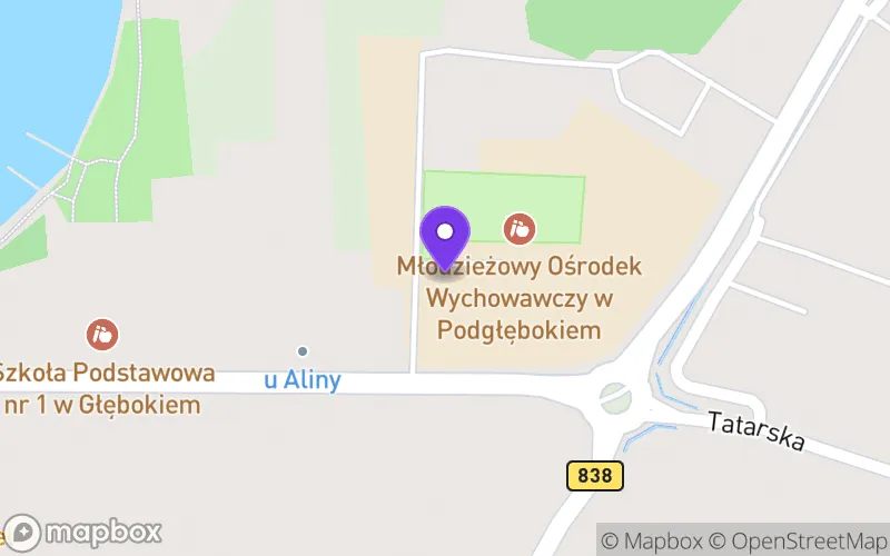 Lokalizacja: Liceum Ogólnokształcące Specjalne w Młodzieżowym Ośrodku Wychowawczym w Podgłębokiem